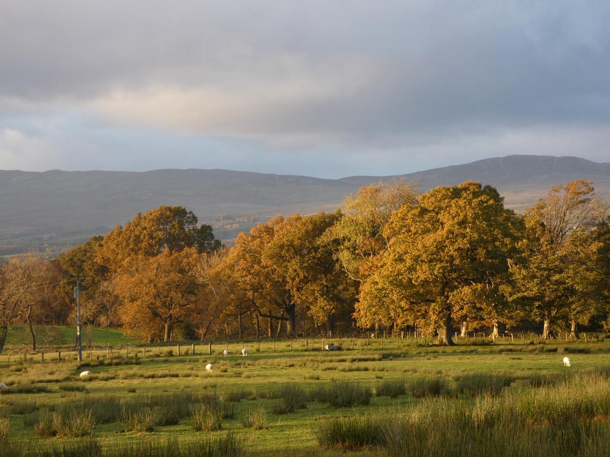 Loch Lomond Finnich